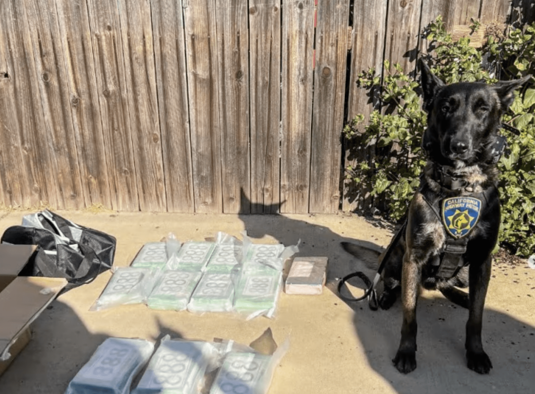 LAPD Cocaine Bust